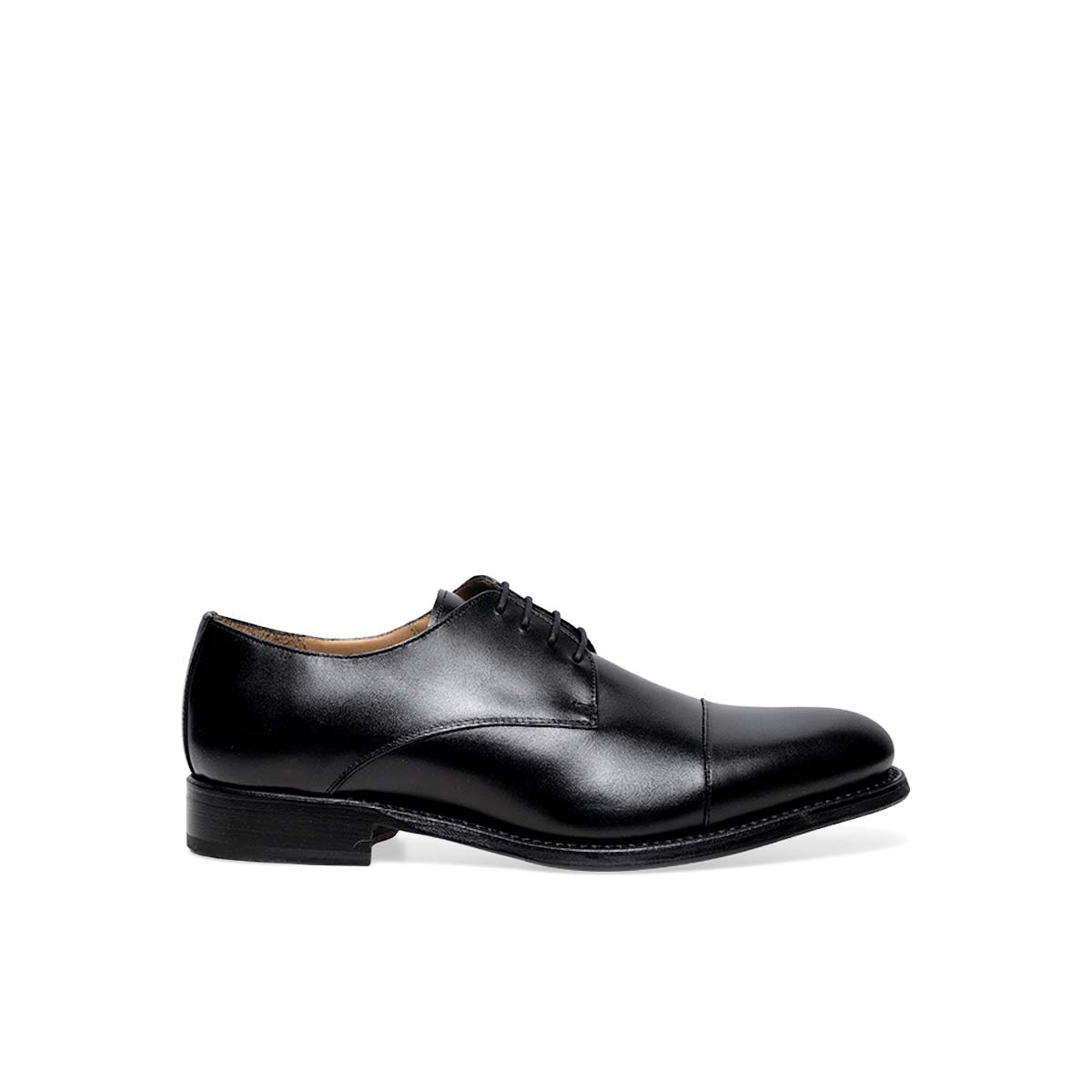 Caiman_zurigo_pomberio_negro-9919